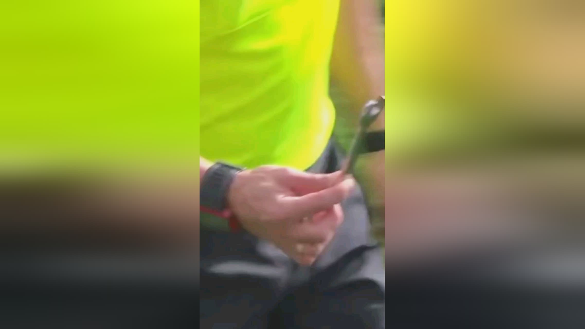 遥这